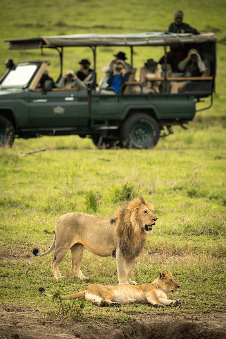 Cómo Elegir el Mejor Safari en Tanzania
