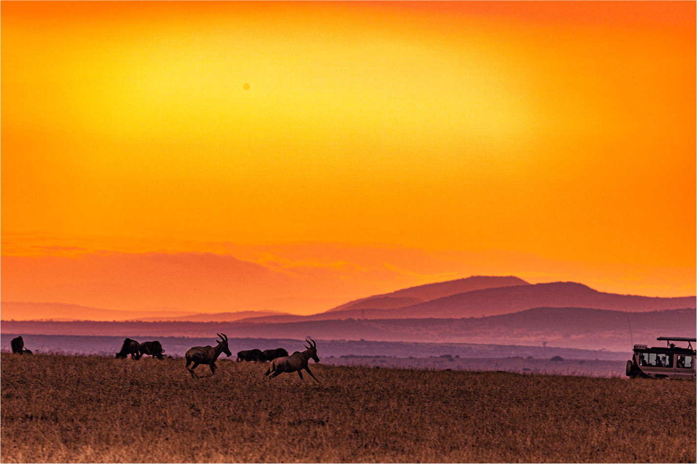 Los 5 Mejores Lugares para Fotografiar en Tanzania