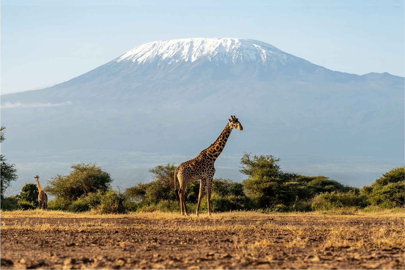 Los 5 Mejores Lugares para Fotografiar en Tanzania