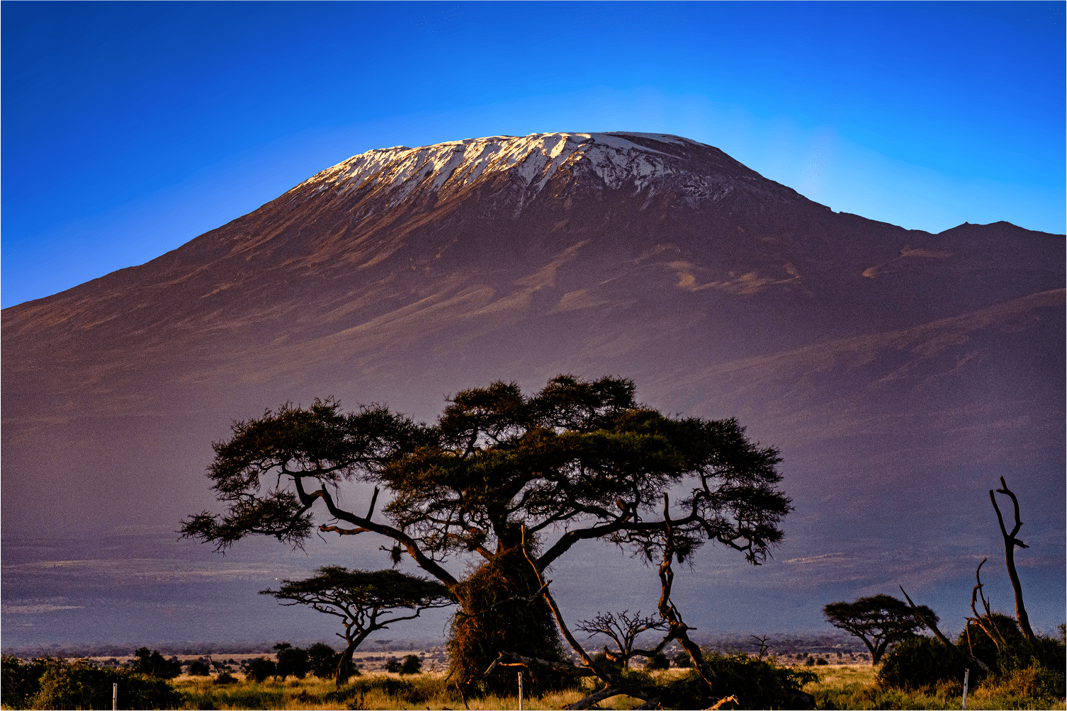 Monte Kilimanjaro: Todo lo que Necesitas Saber Antes de Subir